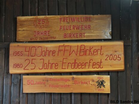 Erdbeerfest Breunig 038.jpg
