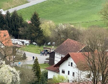 Fruehlingserwachen14_0001.jpg