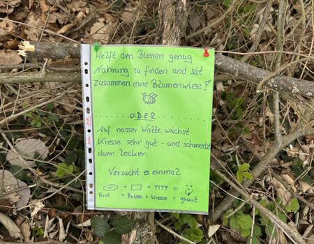 Fruehlingserwachen19_0001.jpg