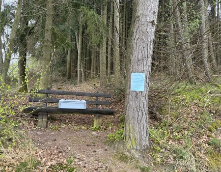 Fruehlingserwachen03_0001.jpg
