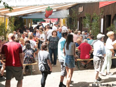 Erdbeerfest Breunig 214.jpg