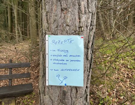 Fruehlingserwachen04_0001.jpg