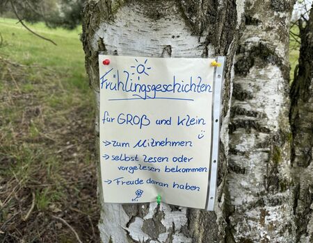 Fruehlingserwachen10_0001.jpg