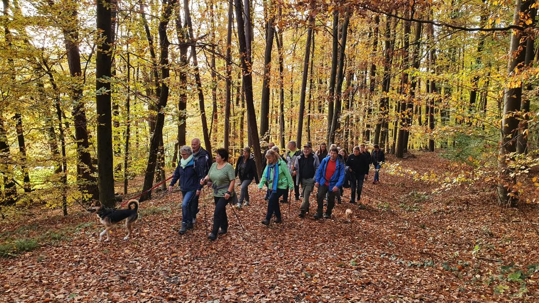 Wandertag 2021